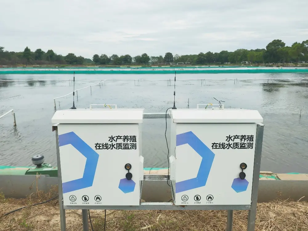 From "Farming by Luck" to "Farming with Knowledge": How Online Water Quality Monitoring Systems are Reshaping Modern Aquaculture