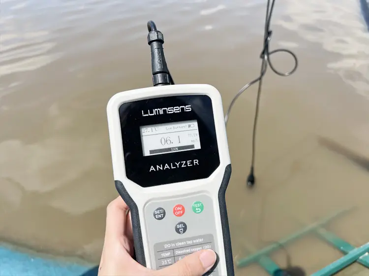 Water Quality Monitoring Parameters in Recirculating Aquaculture Systems