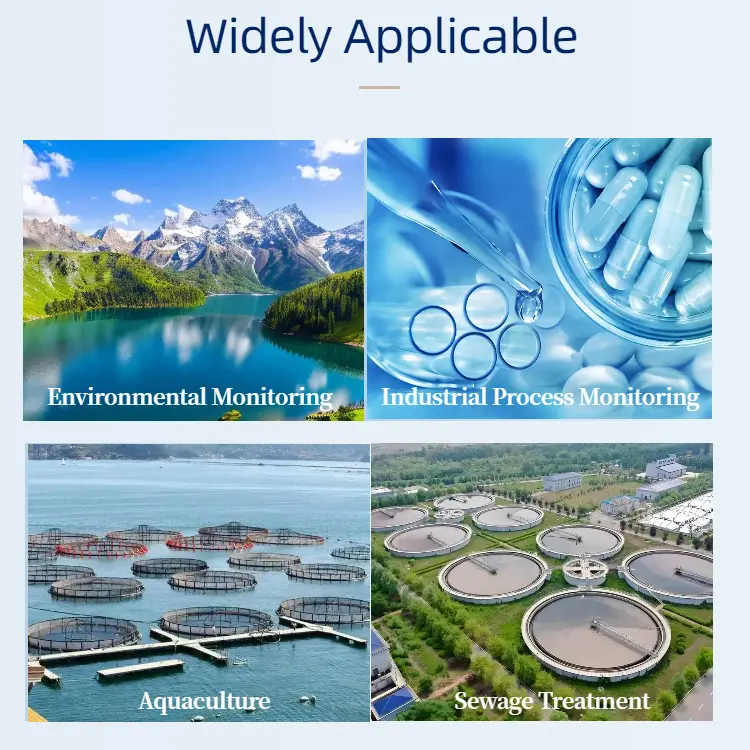 High-Accuracy Industrial Digital RS485 Ion Selecti04