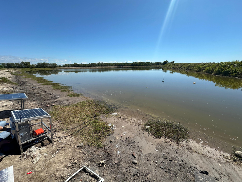 20241101-Honduras-4G-Module-Shrimp-Pond-Water-Quality-Online-Monitoring