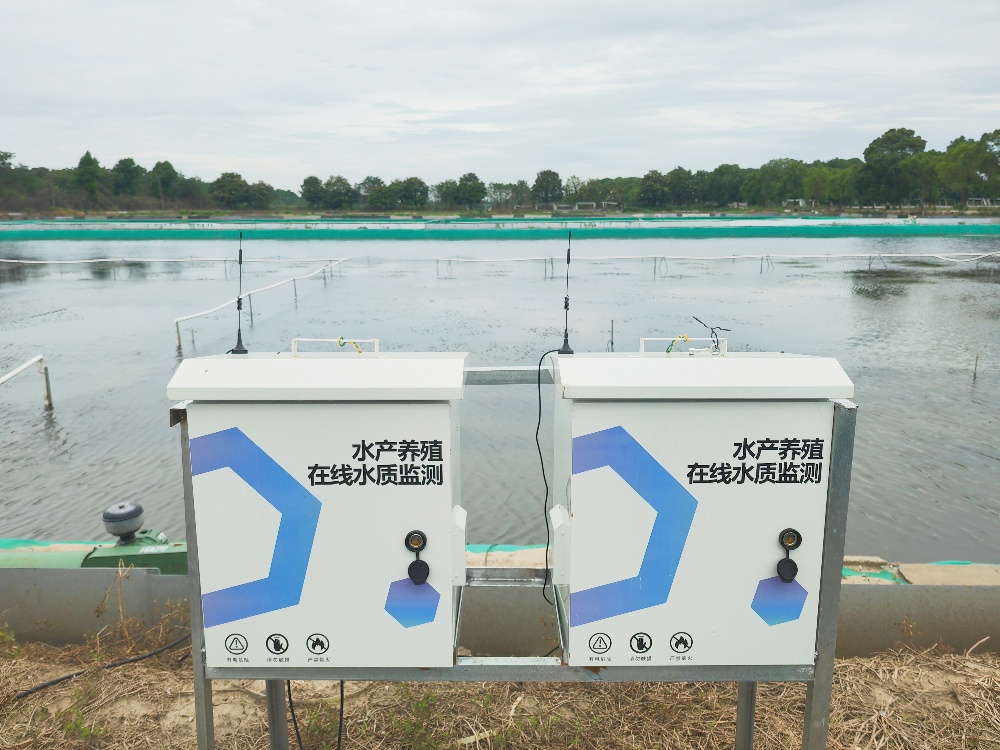 微信图片_20250620141939_副本_副本