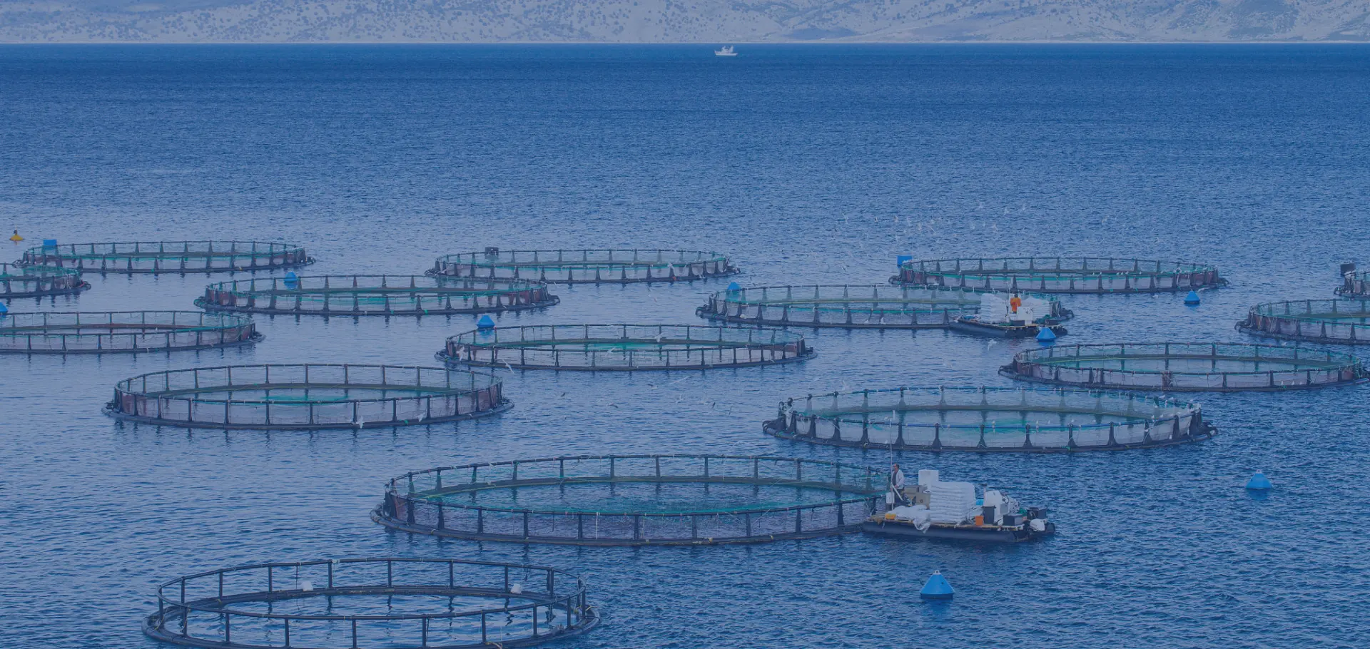 Aquaculture Monitoring